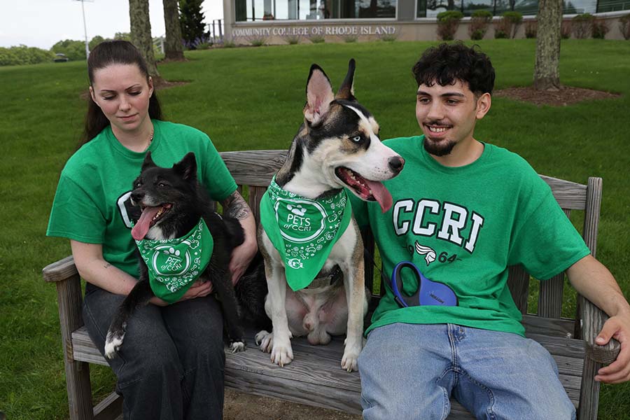 Inclusive Excellence Framework