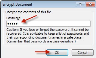 image of the Encrypt Document - set password